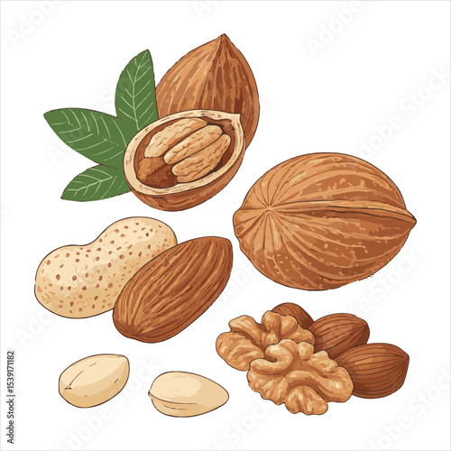 Nuts collage.