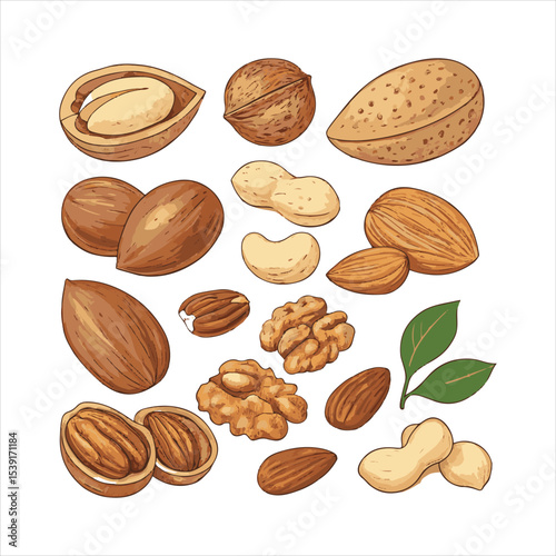 Nuts collage.