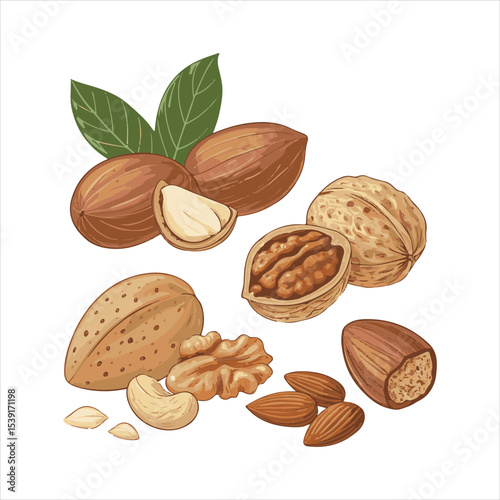Nuts collage.