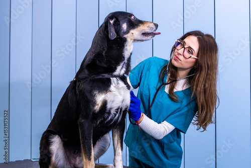 Veterinarian examining dog with stethoscope in clinic