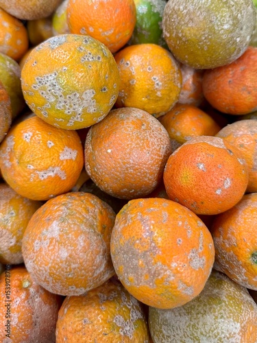 oranges in a market