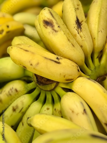 bunch of bananas