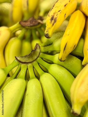 bunch of bananas