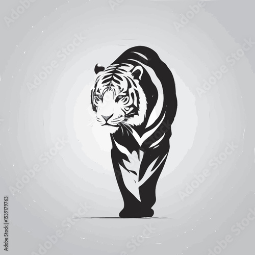 tiger on a white background