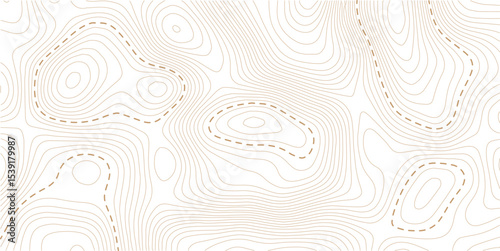 Abstract topographic map background Vector.  wallpaper design for fabric , packaging , web, geographic grid map vector illustration.