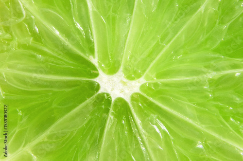 Wallpaper Mural Macro close up surface texture Juicy slice of lime Torontodigital.ca
