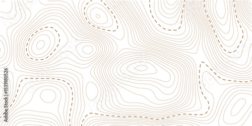 Topography wave line grid map. white wave line geography landscape Topo contour map on white background. Geographic mountain relief diagram line wave carve pattern