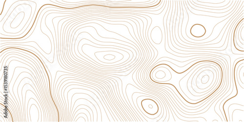 Abstract topo contour map on white background, Topographic map Topographic contour lines map seamless pattern. Geographic mountain relief diagram line wave carve pattern