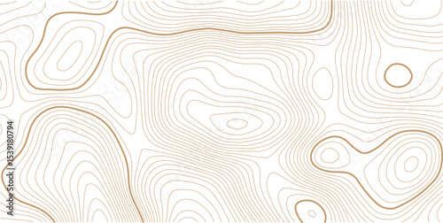 Abstract topo contour map on white background, Topographic map Topographic contour lines map seamless pattern. Geographic mountain relief diagram line wave carve pattern
