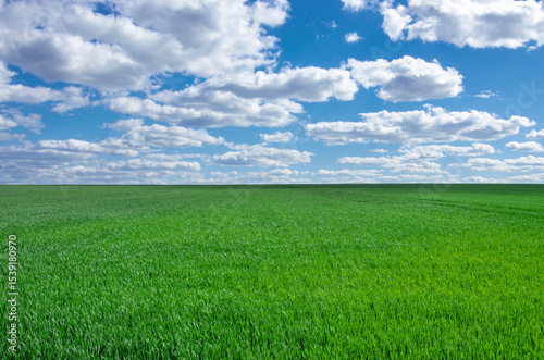 Image of green grass field and bright blue sky