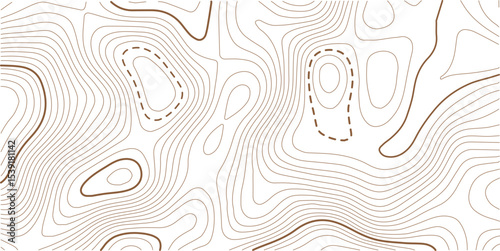 Abstract topo contour map on white background, Topographic map Topographic contour lines map seamless pattern. Geographic mountain relief diagram line wave carve pattern