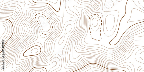 Abstract topo contour map on white background, Topographic map Topographic contour lines map seamless pattern. Geographic mountain relief diagram line wave carve pattern