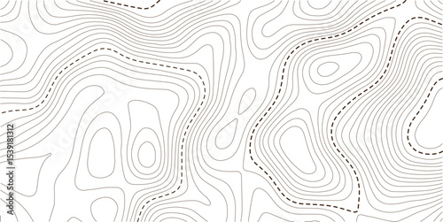 Abstract topo contour map on white background, Topographic map Topographic contour lines map seamless pattern. Geographic mountain relief diagram line wave carve pattern