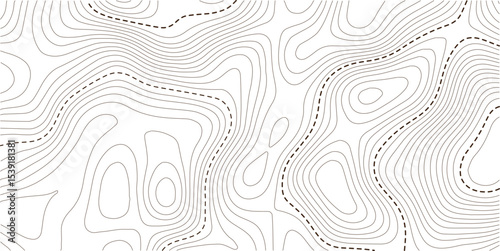 Abstract topographic map background Vector.  wallpaper design for fabric , packaging , web, geographic grid map vector illustration.