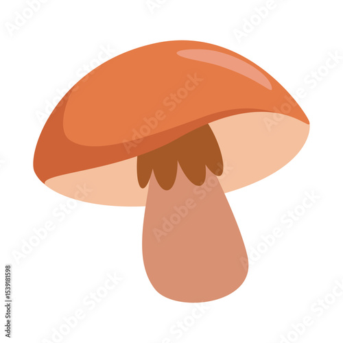 Illustration of a Orange Mushroom with Brown Stem on White Background
