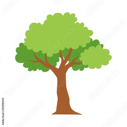 Illustration of a tree with green leaves and a brown trunk on a white background