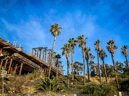 palms trees and construction with a blue sky