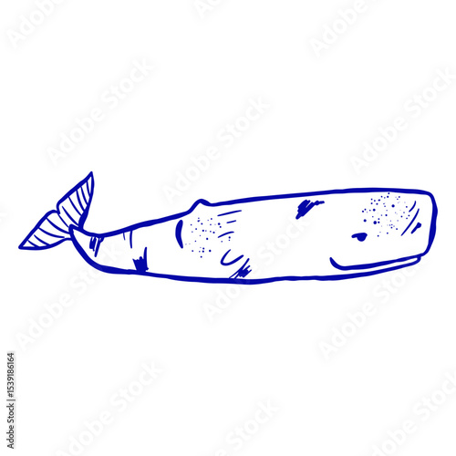 Sperm whale hand drawn sketch. Simple  line art sea mammal vector illustration.