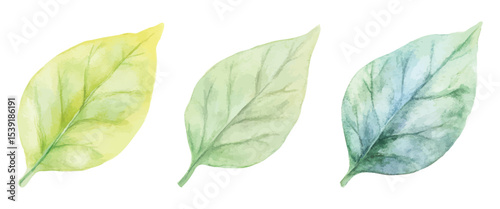 Three watercolor leaves in yellow, green, and blue tones