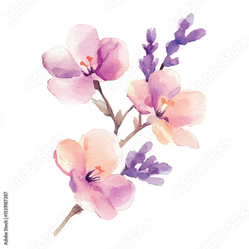 Delicate watercolor illustration of pink and lavender blossoms