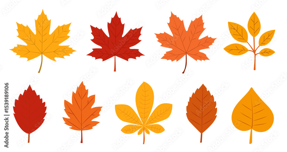 Colorful autumn leaves in various shapes and hues displayed against a clean background, capturing the essence of fall in nature Colorful autumn leaves in various shapes and hues displayed against a clean background, capturing the essence of fall in nature