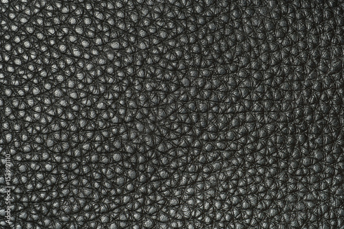 Wallpaper Mural Close-up texture of black synthetic leather surface with uniform grain pattern and matte finish Torontodigital.ca
