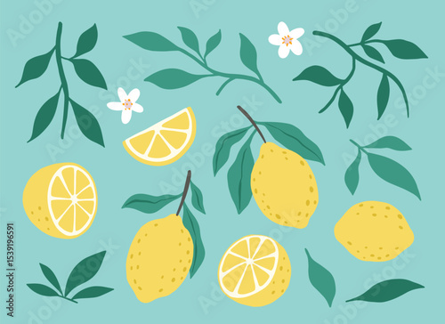 Fresh juicy lemon fruit leaves flowers isolated on a green background. Colorful half and whole lemon with a leaf. Perfect for juice or jam. Vector illustration.	