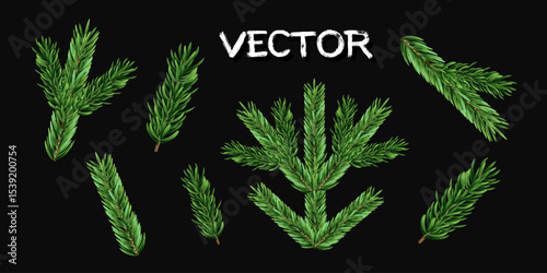 Green fir branches. Realistic christmas tree elements for design, new year winter, coniferous and spruce branches, vector 3d isolated set.