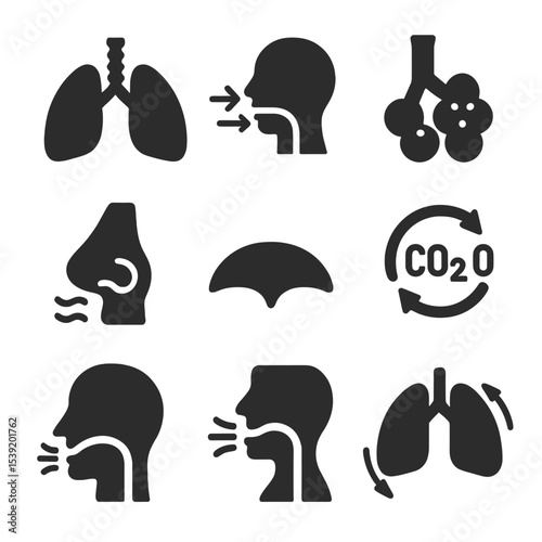 Respiratory System Icons. Solid style icons of respiratory system: lungs with trachea, breathing flow arrows, alveoli icon, nose