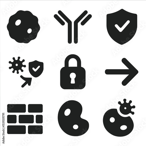 Immune System Icons. Solid style icons of immune system: white blood cell icon, antibody structure, immune shield symbol, lymph