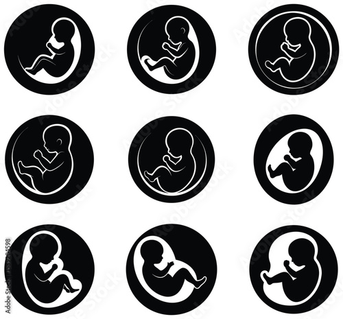Vector illustration of a stylized fetus in the womb, representing pregnancy and prenatal development.