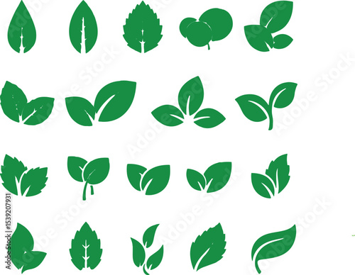 A Collection of Green Leaf Vector Illustrations for Nature and Design Projects Leaves of various shapes and sizes are presented