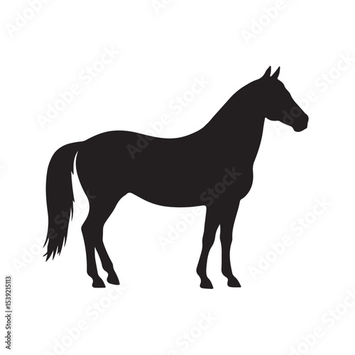 Black Horse Silhouette – Clean Vector Animal Icon