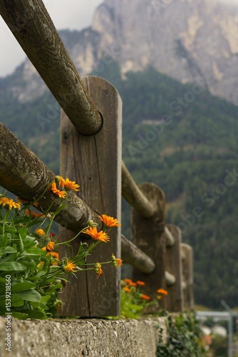 Fence Leading to the Mountains, Italy