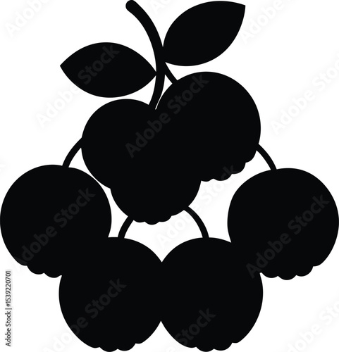 vector illustration of an Lychee