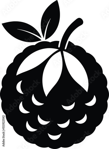 vector illustration of an Lychee