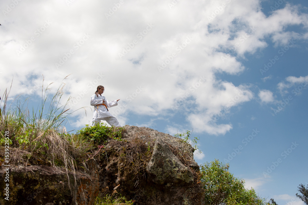 Obraz premium Young karateka performing kata on a cliff under blue sky