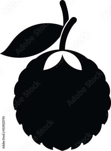 vector illustration of an Lychee