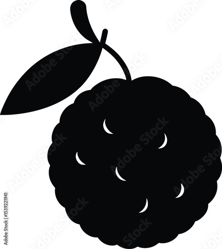vector illustration of an Lychee