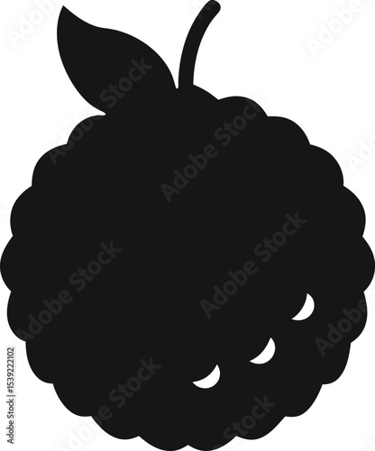 vector illustration of an Lychee