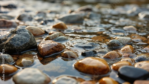 A shallow stream with smooth, multicolored stones partially submerged in clear water. Light reflections dance on the surface, emphasizing the natural textures and tranquility of the flowing riverbed.