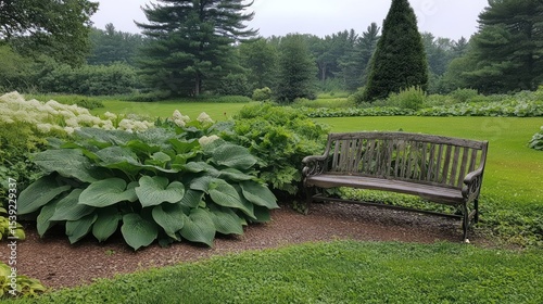 Tranquil garden scene