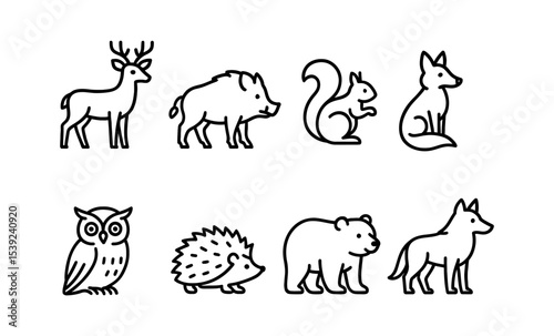 Minimalist woodland animals: cute line art illustrations of forest creatures