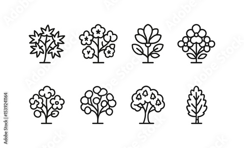Minimalist line art collection of iconic tree illustrations: japanese maple, cherry blossom, magnolia, dogwood