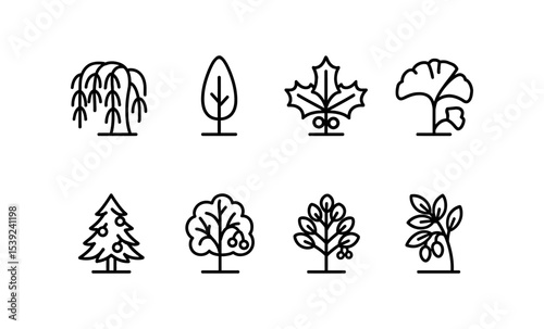 Simple line icons of diverse trees: willow, poplar, holly, ginkgo, juniper, boxelder, hackberry, pistachio