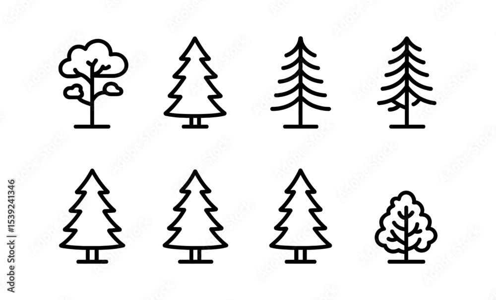 Fototapeta premium Illustrated guide to pine tree types: scots, white, lodgepole, jack, red, sugar, ponderosa, mugo
