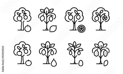 Minimalist fruit tree line icons: lemon, orange, peach, apple variations
