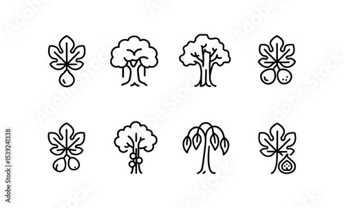 Types of fig trees: icon set illustrating common, banyan, strangler, sycamore, caprifig, cluster, weeping, edible fig
