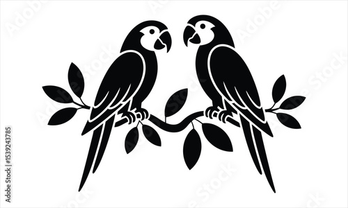 Two macaws perched on branch silhouette