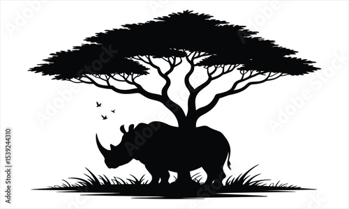 Rhino silhouette under african acacia tree
